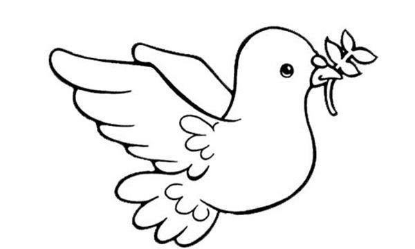 鸽子简笔画怎么画，抓住大的形体简单易学（简笔画：高清鸽子简笔画）