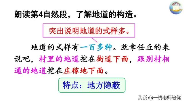 侵可以组什么词语，侵可以组啥词（部编版五年级上册第8课《冀中的地道战》重点知识点+课文讲解）