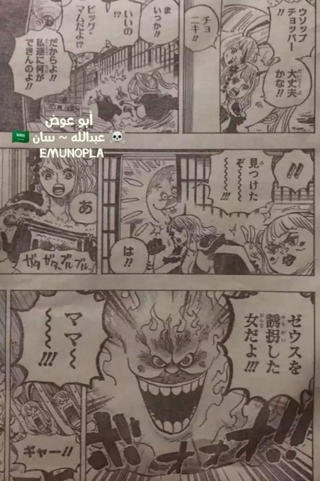 982是什么意思（海贼王982话全图情报+大量补充翻译）