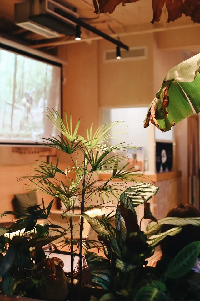 北京scc超跑俱乐部，北京超跑俱乐部（开大佬座驾探店，方方面面到位）