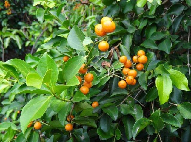 宋仁宗的皇后是谁，从宋仁宗跟两位皇后拧巴的婚姻关系看他的性格特点