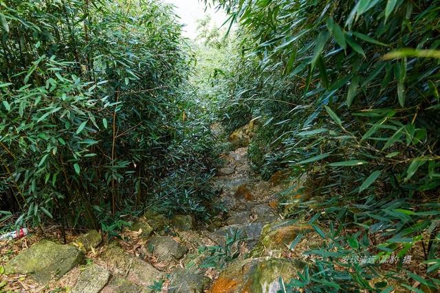 大罗山在什么位置，真无愧于清城最美山峰的称号