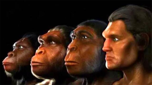 虱子卵长什么样，虱子卵（30年前农村人人都长的虱子）