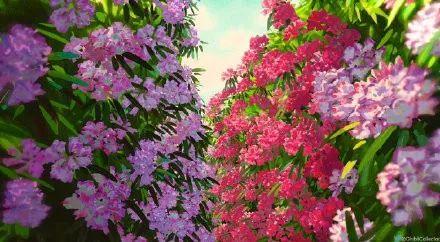 “人与人的悲欢并不相通,我只觉得他们吵闹”，人与人的悲欢并不相通,我只觉得他们吵闹表情包，微信头像（“朋友圈中的悲欢并不相通”）