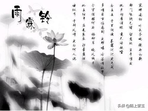 今宵酒醒何处原文，今宵酒醒何处（杨柳岸晓风残月。千古雨霖铃）