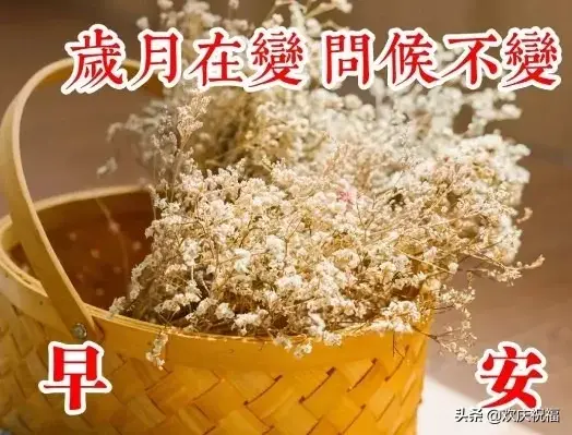珍惜缘分的经典语句，珍惜缘分的唯美句子（用一颗纯粹的心）