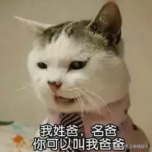 男人为什么喜欢女人叫他爸爸，男生喜欢女生叫爸爸是什么意思（为什么男生喜欢让女生叫爸爸）