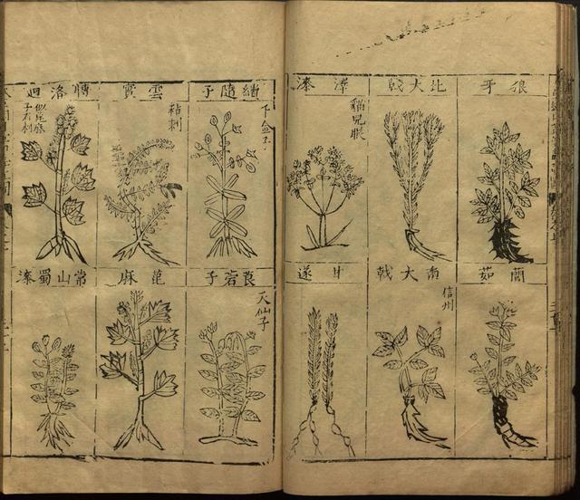 本草纲目全书带图，李时珍本草纲目全书（李时珍著《本草纲目》附图卷）