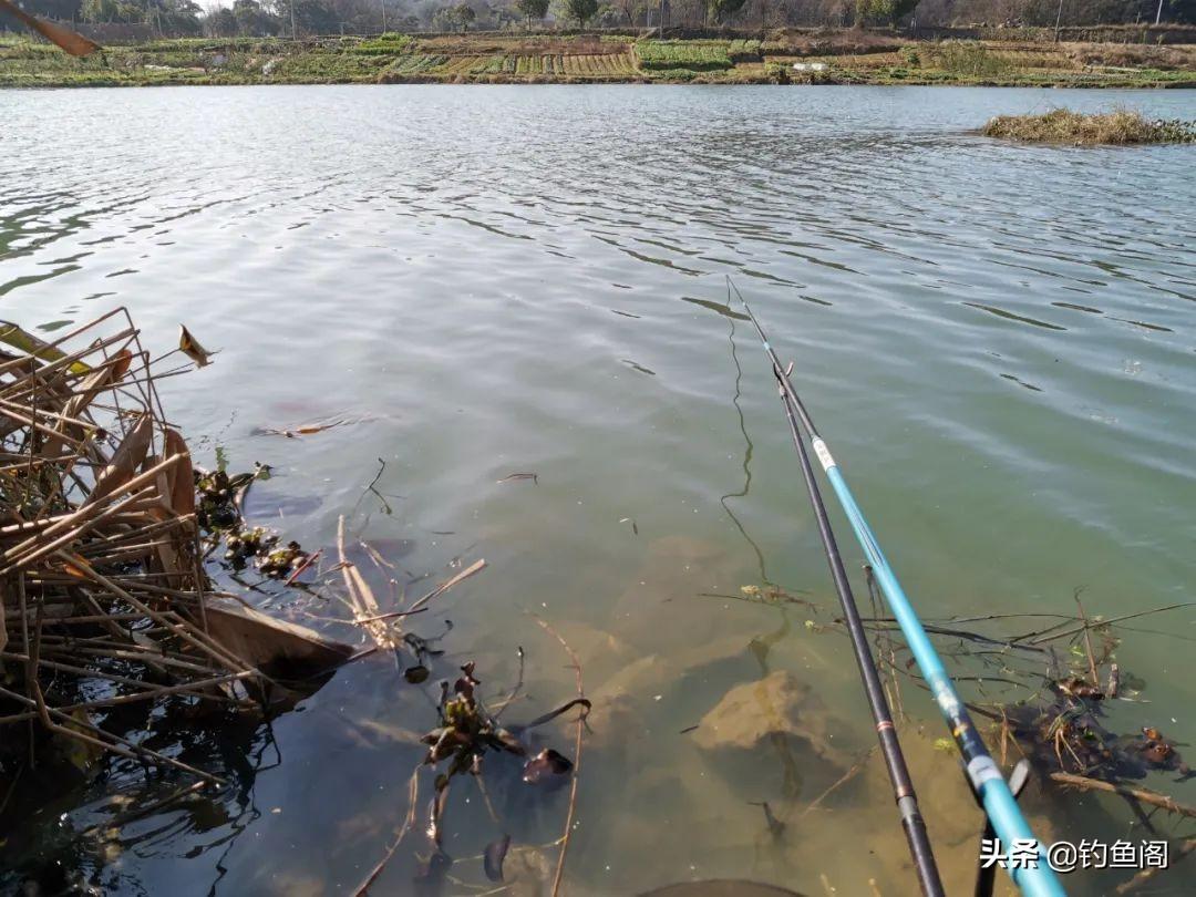 钓鱼专用导航地图(江河广阔) - 去钓鱼
