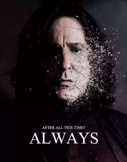 斯内普教授为什么讨厌哈利波特，《哈利波特》中的这一人