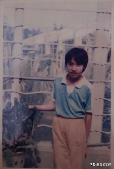 赵雅淇年龄（谢杏芳，赵雅淇多大年龄（揭秘林丹的“风流”与“豪横”…）