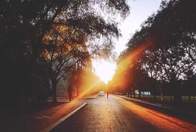 辽宁省普通高等院校（二十三）沈阳理工大学