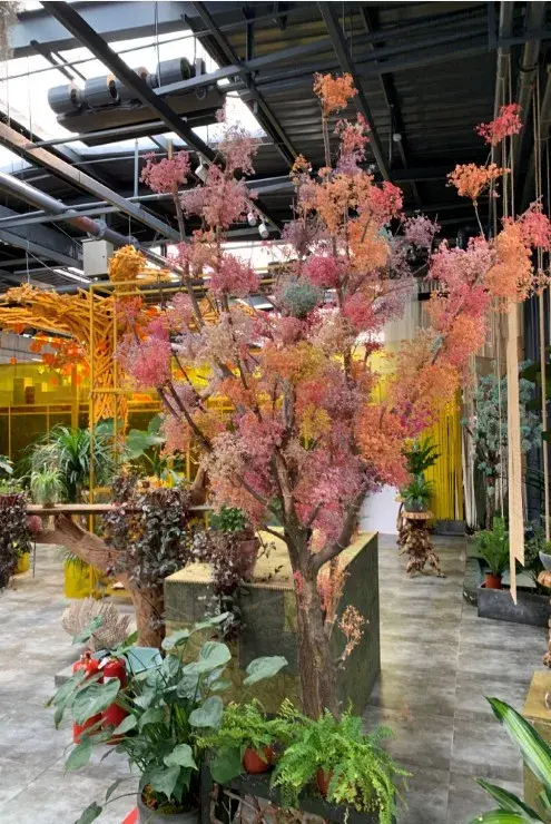北京四大花市，丰台四大花市逛买攻略