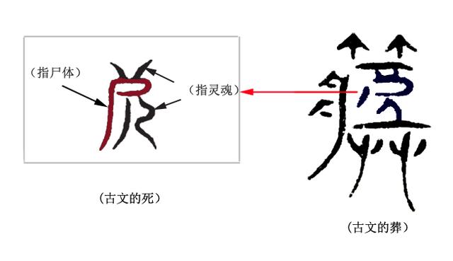 民的笔顺怎么写图片