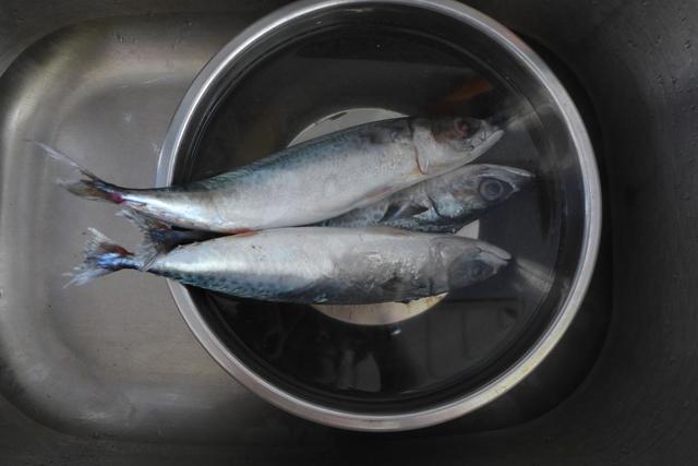 茄汁青鱼的做法，茄汁青鱼的做法 最正宗的做法（茄汁青鱼，是你喜欢的菜吗）