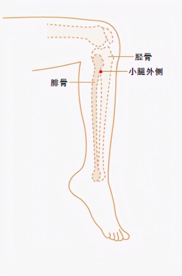 处暑应该吃什么，调理很多亚健康症状