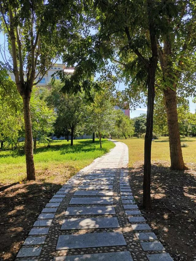 渤海大学是211吗，渤海大学是什么大学（辽宁省普通高等院校）