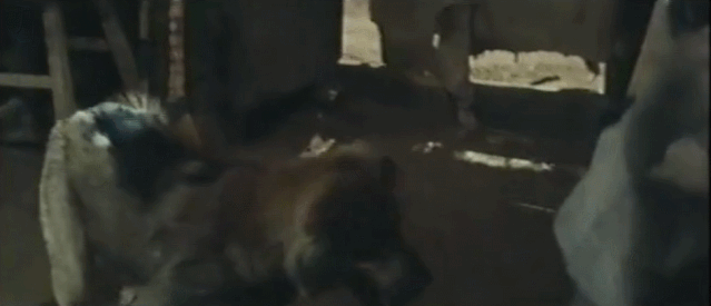 电影女儿谷剧情介绍，女儿谷大结局什么（这部国产禁片终于被找到）