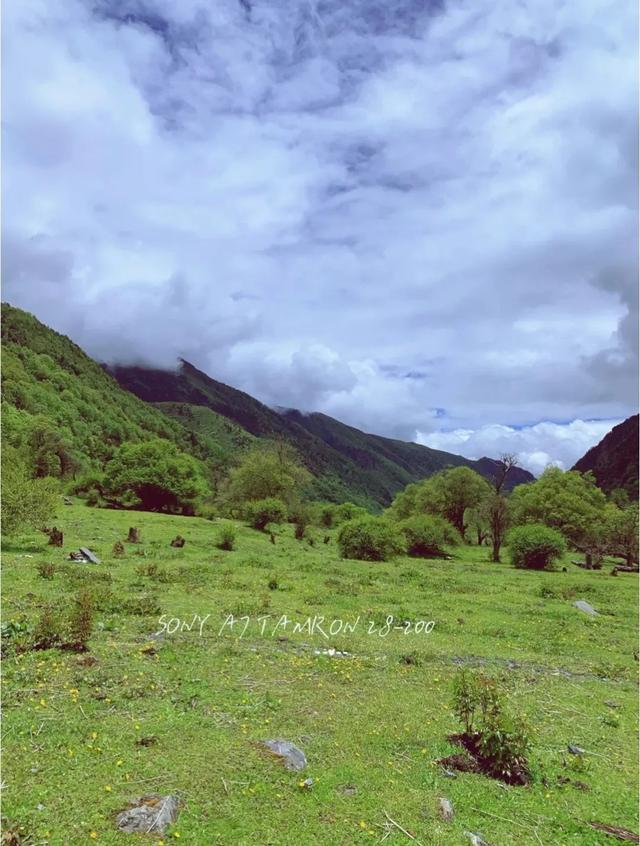 川西北花海风景，两天一夜川西秘境之旅