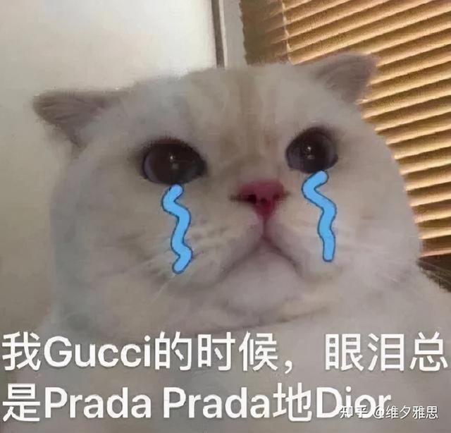 ca是美国哪个城市的缩写，ca是美国哪个州缩写（只有留学生才能看懂的“神秘代码”）