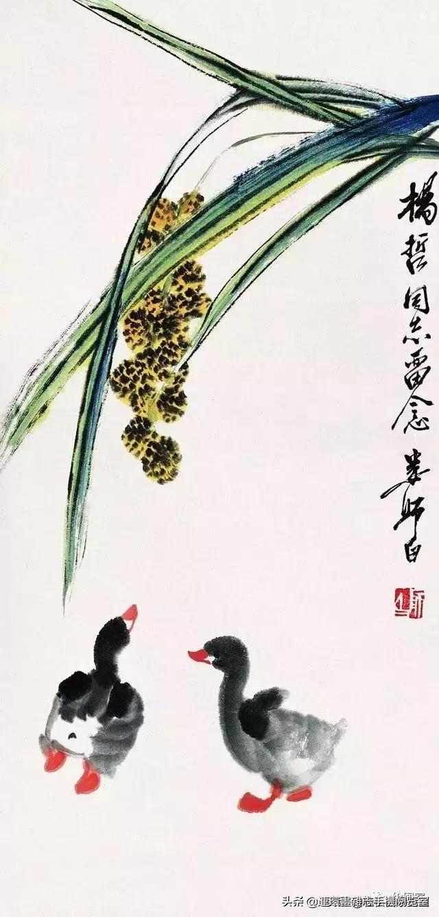 怎么画鸭子,今天星期二考试考个鸭蛋怎么画鸭子(娄师白教你画鸭子) 怎么画鸭子,今天星期二考试考个鸭蛋怎么画鸭子(娄师白教你画鸭子)