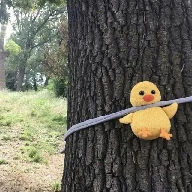 可可爱爱没有脑袋。，可可爱爱没头脑袋微信（可可爱爱没有脑袋的可爱头像）