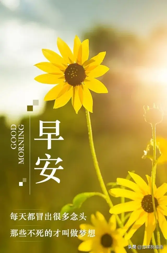 神仙滤镜+背景图  顺其自然 随遇而安 世界并非如你所愿.，神仙滤镜风景图片（所以顺其自然；因为心无所恃）