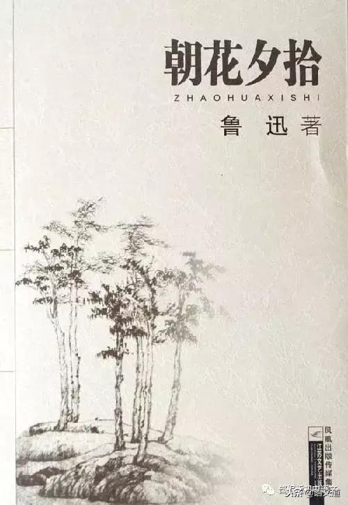 朝花夕拾内容简介，朝花夕拾简介作品梗概及感受（中考语文名著阅读-《朝花夕拾》）