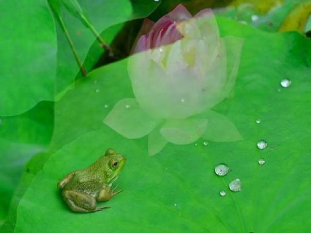 四季有什么特点，北方的四季有什么特点（部编版一年级上册第4课《四季》图文讲解）