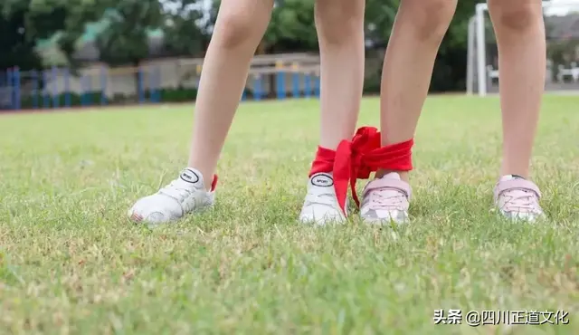 曱甴是什么意思，曱甴是什么意思啊（爿：这些汉字天生一对）