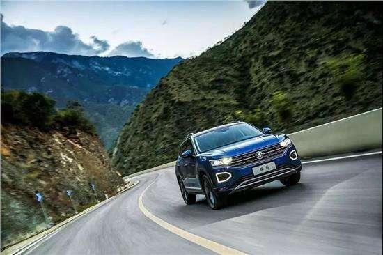 西班牙睡鼠认主人吗，很好养超级迷你宠物（到底为什么这么招人爱）