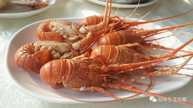 广东湛江白切狗做法酱料做法，湛江白切狗是怎样煮的（<美食>评选出炉了）