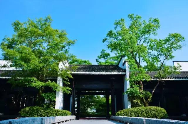 黄山哪里泡温泉好，黄山哪里泡温泉好些（选择这10家最美的酒店准没错）