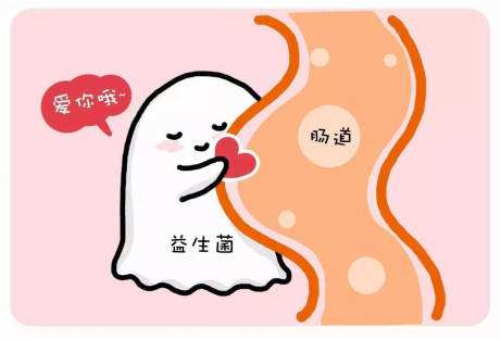 金双歧和益生菌的区别，益生菌好还是金双歧好（益生元、益生菌，傻傻分不清）