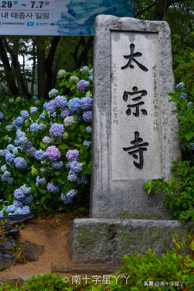 釜山有什么好玩的，韩国有哪些好玩的地方（拍出的照片张张秒杀韩剧）