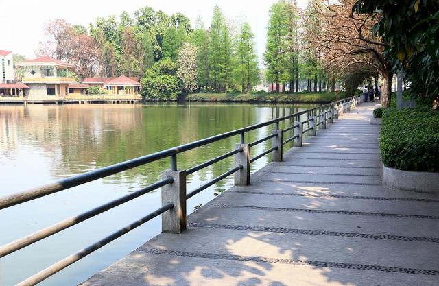 广州旅游攻略景点必去，广州市内旅游景点推荐（广州市10个完全免费、安全性、有趣的景点）