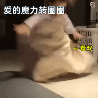 黄夏温哪里人，黄夏温个人介绍（圈粉100万人）