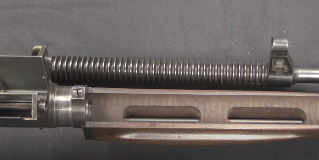 wsl是什么意思（美国人的双弹匣“反气球”步枪）