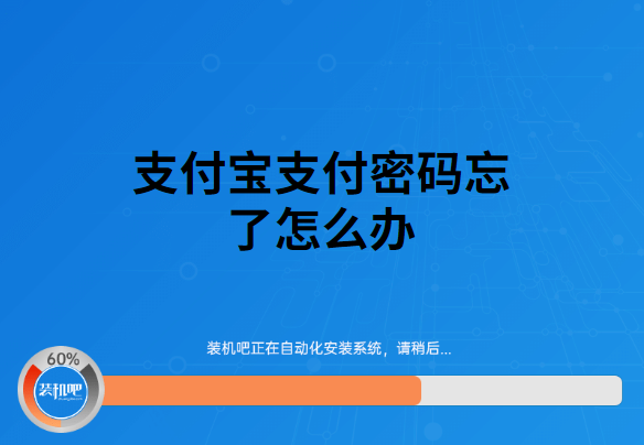 支付宝支付密码，支付宝支付密码怎么设置（支付宝支付密码忘了怎么办）
