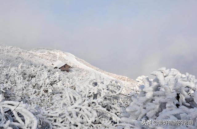 张家界好玩的地方不要门票，冬季的张家界好玩吗（不要门票山顶住宿仅需100元）