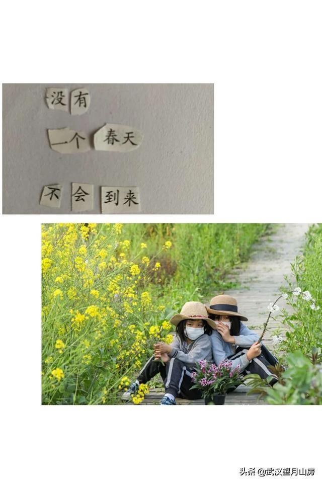 小学美术教学案例范文（美术学科教学论第五周）