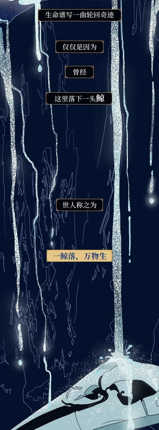 一鲸落万物生什么意思，万物生是什么意思（深入解析什么是“一鲸落）