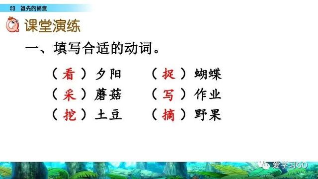 赛跑的拼音，赛跑的拼音怎么读（部编版二年级下册第23课《祖先的摇篮》知识点+图文讲解）