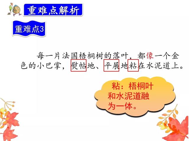 金黄的什么填词语，金黄的什么填空（部编版三年级语文上册第5课《铺满金色巴掌的水泥道》图文讲解）