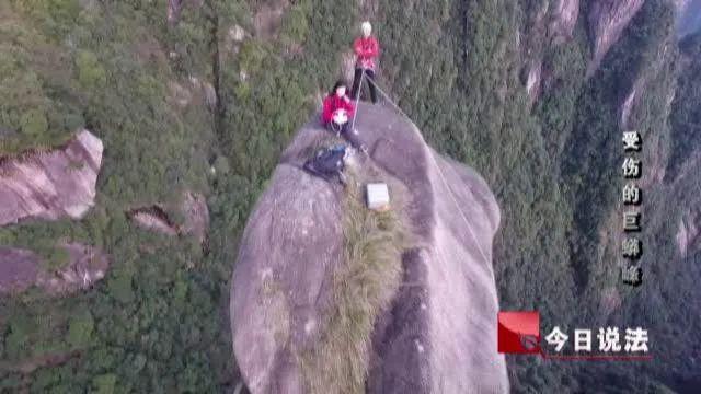 今日说法 经典案例（央视新闻）