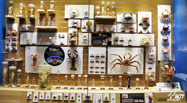 青岛有几个海底世界，青岛海底世界有几处（是有着中国最大的海底世界吗）