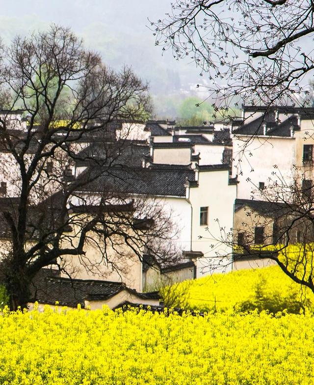 宏村在哪里，安徽宏村在哪里（宏村、西递等旅游景区恢复开放）