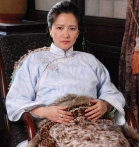 何晴演过的电视剧，何晴经典角色（“古典美人之最”何晴的14部剧）