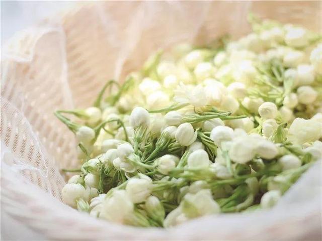 不锈钢盆可以放烤箱吗，烤箱里可以放不锈钢盆吗（10种花最养人）