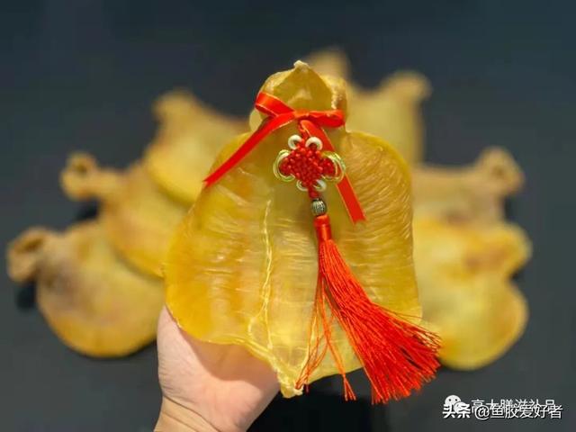 鱼胶的最佳食用方法，鱼胶炖什么最丰胸（补而不燥的鱼胶吃法）